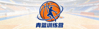 青少年篮球训练营标志